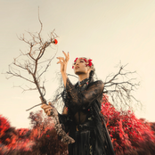 Cherry Red Apocalypse