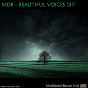 BEAUTIFUL VOICES 017 (AMBIENTAL-TRANCE MIX)