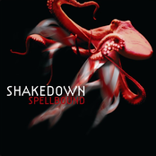 Shakedown: Spellbound