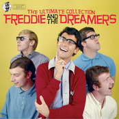 I'm Telling You Now by Freddie & The Dreamers