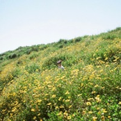 California (feat. Sylo Nozra)