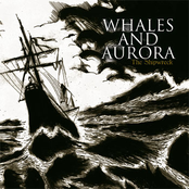 A New Awareness by Whales And Aurora