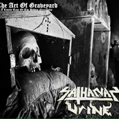 The Art of Graveyard (A Lovely Tour of the Hidden Necropolis)