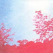 JAL-Vol.6 Silvery Branches