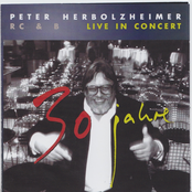 Because I Love You by Peter Herbolzheimer Rhythm Combination & Brass