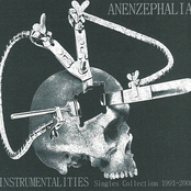 Instrumentalities (Singles Collection 1991-2008)