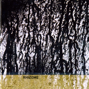 Rhizome