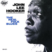 I'll Never Trust Your Love Again by John Lee Hooker