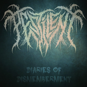 Diaries of Dismemberment single
