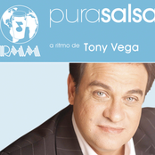 Tony Vega: Pura Salsa