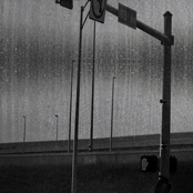 Grand Declaration of Wall