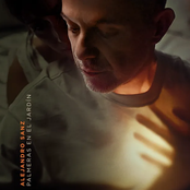 Palmeras en el jardín