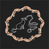 No Answer to be Found