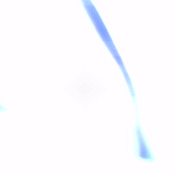 Torso