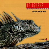 La Iguana - Sones Jarochos