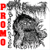 Bardassage Auditif Promo