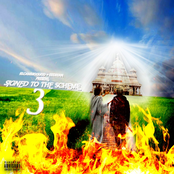 SIgned TO THE scheme 3