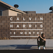 School by Calvin Harris