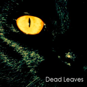 Dead Leaves by Dead Leaves