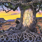 The Honky Tonk Tree