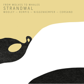 Strandwal (CD 2)