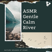 ASMR Gentle Calm River