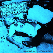 Liquefact Corpse Putrefaction