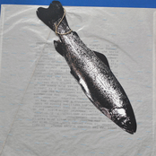 An Der Schönen Blauen Donau