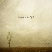 Otoño by Bosques De Mi Mente