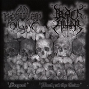 Wrath Ov The Gods / Serpent