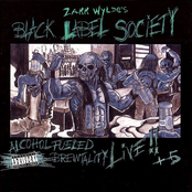 Heart Of Gold by Black Label Society