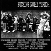 Fucking Noise Terror