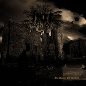 The Demise Of Mankind