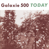 Them - Uncollected by Galaxie 500