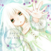 月白少女の花めく黒葉菫