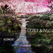 Iconoid