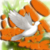 I Will Never Change My Style