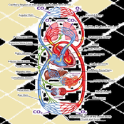 replace my blood with tar