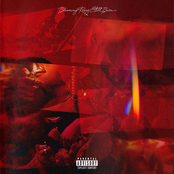 Blooming Roses Still Burn