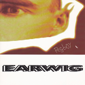 pegboy: Earwig