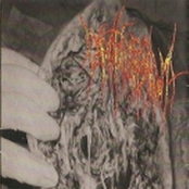 Diseased Parasite Meat