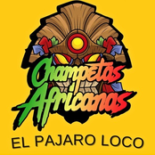 El Pajaro Loco