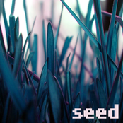 seed