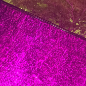 Cut