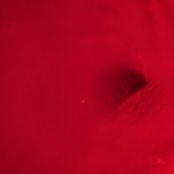 Come Pretty Pump Sleep