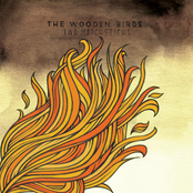 Struck By Lightning by The Wooden Birds