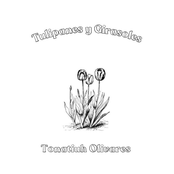 Tulipanes y Girasoles