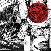 split LP w/Berosszulás