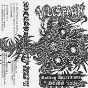 Rotting Apparitions (Demo 2022)