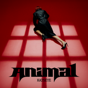 Animal cover